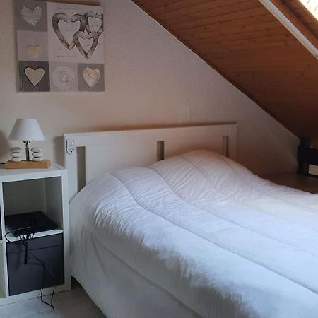 Duplex Cocooning Avec Vue Lac Et Montagnes ซาวีน ภายนอก รูปภาพ