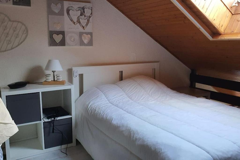 Duplex Cocooning Avec Vue Lac Et Montagnes ซาวีน ภายนอก รูปภาพ